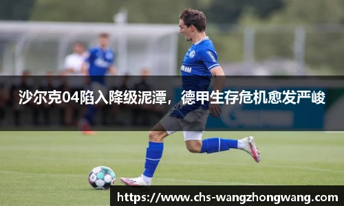 王中王资料大全